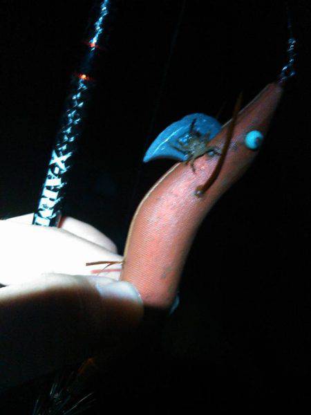 まあまあえーサイズ